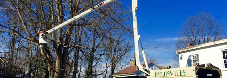 Arborist & Tree Removal, Louisville, KY, US