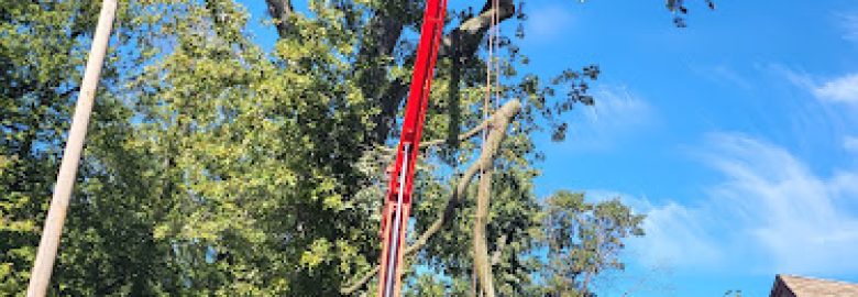 Cam’s Tree Service