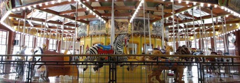 African Carousel