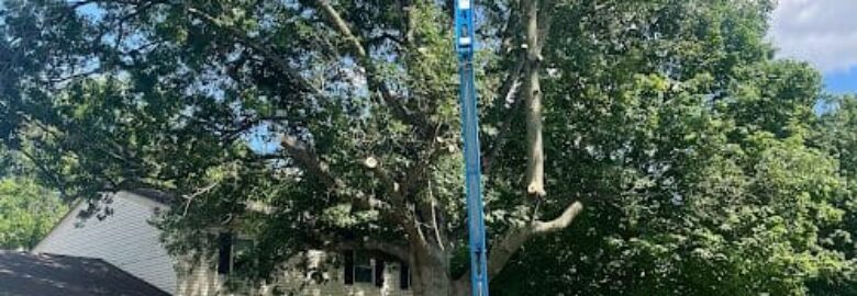 Arborist & Tree Removal, Owensboro, KY, US