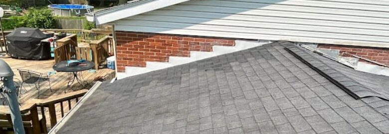 Van Martin Roofing