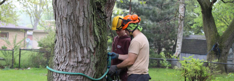 The Tree Bee Arborists, llc