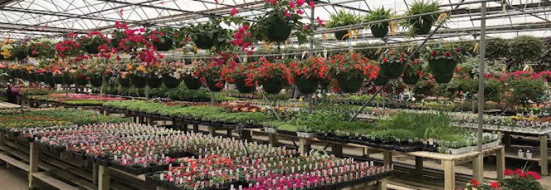 Dammann’s Garden Center & Greenhouse, Inc.