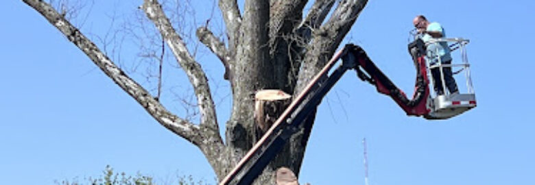 Arborist & Tree Removal, Paducah, KY, US