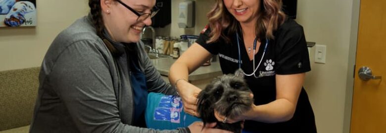 Lincolnway Veterinary Clinic