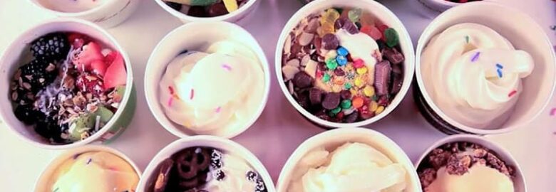 Igloo Frozen Yogurt and Treats