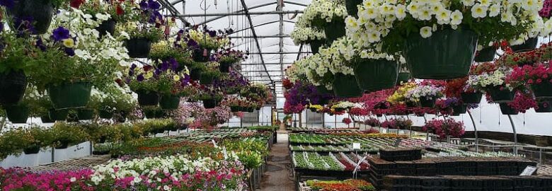 Plants and Nurseries, Mammoth Cave, KY, US