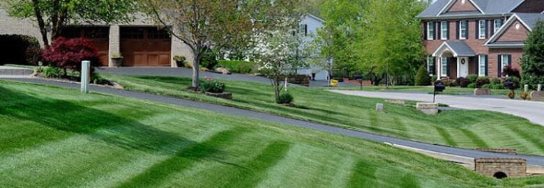 US Lawn & Landscape