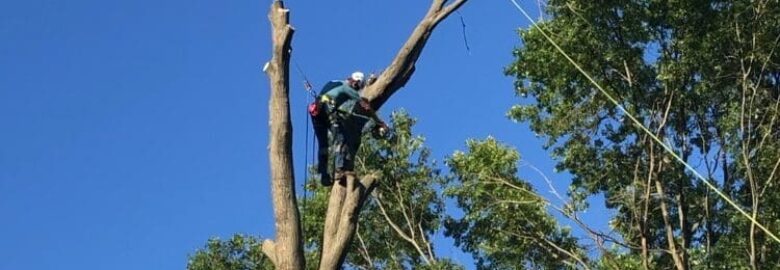 Heartland Tree Service LLC