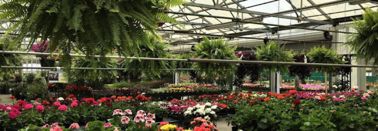 Walnut Ridge Nursery & Garden Center