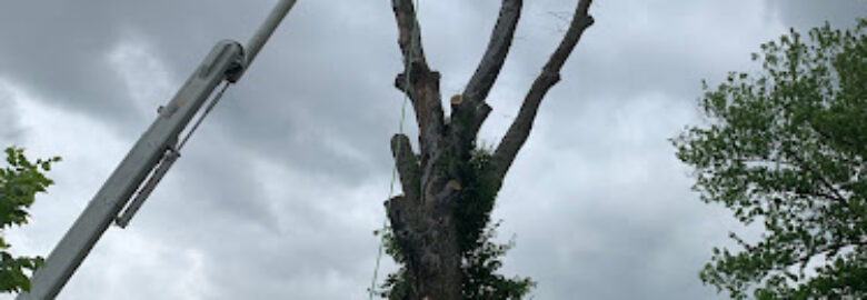 Arborist & Tree Removal, Franklin, KY, US