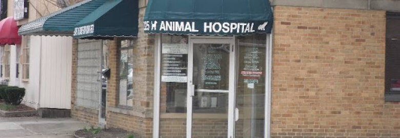 LoveNCare Animal Hospital