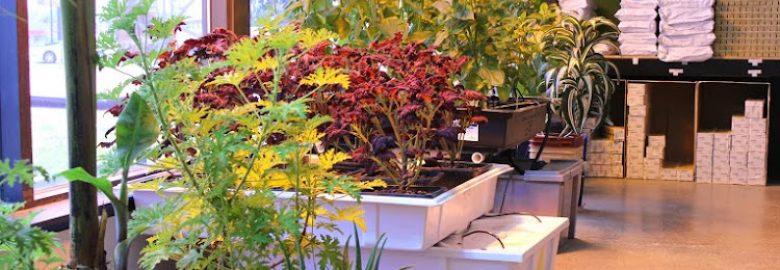 Indoor Gardens