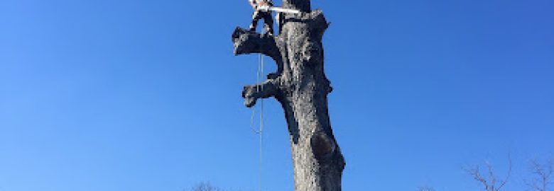 Martin Tree Service