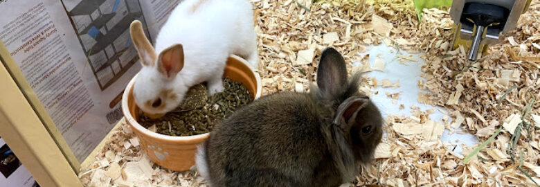 Pets and Animals, Lexington, KY, US