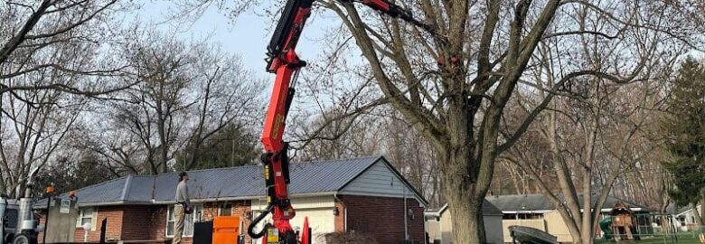 Extreme Tree Service