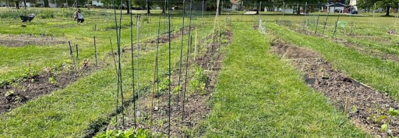 Berea Community Learning Farm