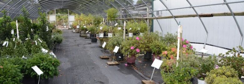 Plants and Nurseries, Louisville, KY, US