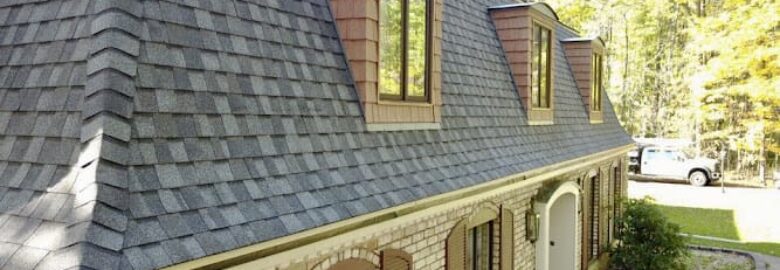 Runyon and Sons Roofing