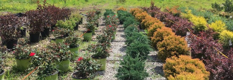 Plants and Nurseries, Lexington, KY, US