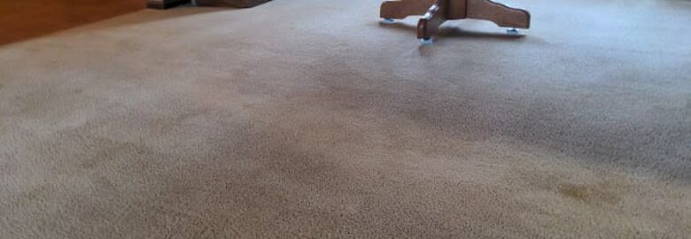 Excel Carpet and Tile Cleaning