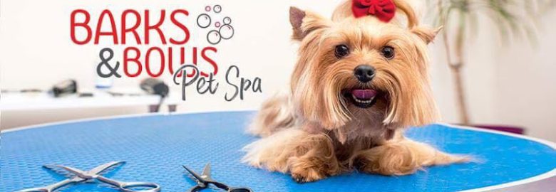 Barks & Bows Pet Spa