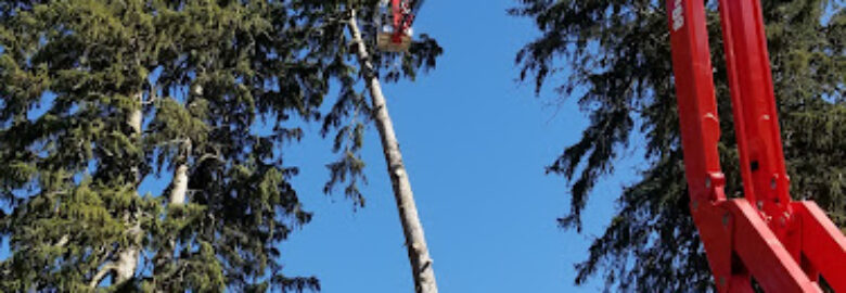 Dolce’s Tree Service