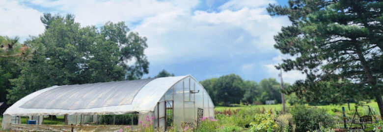 Collier Row Floral Shop & Flower Farm