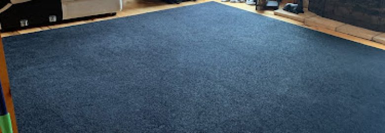 Discount Carpet and Upholstery Cleaning