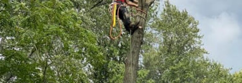 A&S TREE SERVICE,LLC