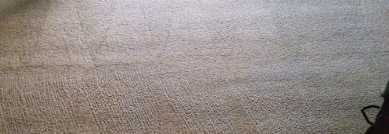 Dry Step Carpet Care and Duct Cleaning