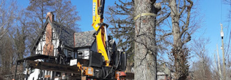 ArborCare Tree Service