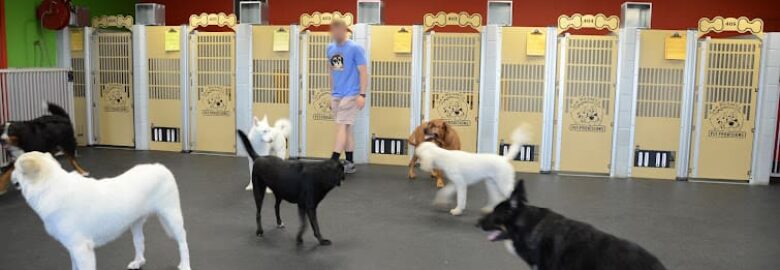 Pet Sitting and Exercise Services, Elizabethtown, KY, US