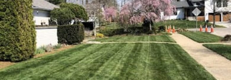 Integrity Lawns and Landscaping