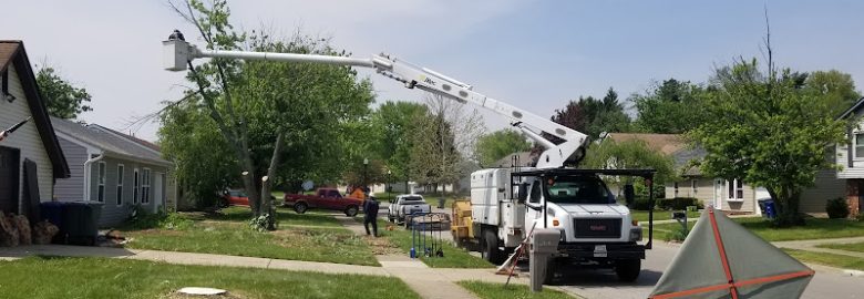 Columbus Tree Services