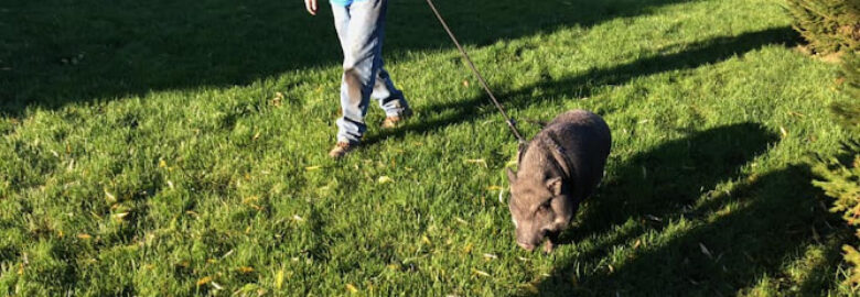 Dog Guard of Central Ohio