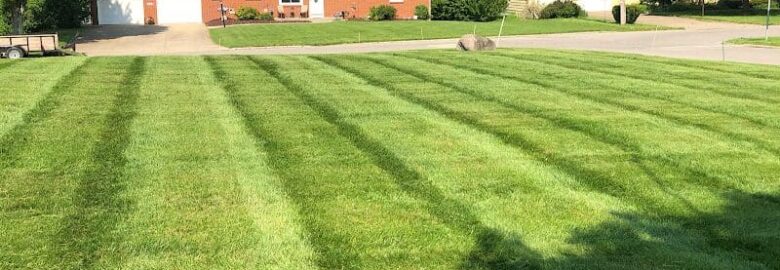 Thompson Elite Lawn Care, LLC