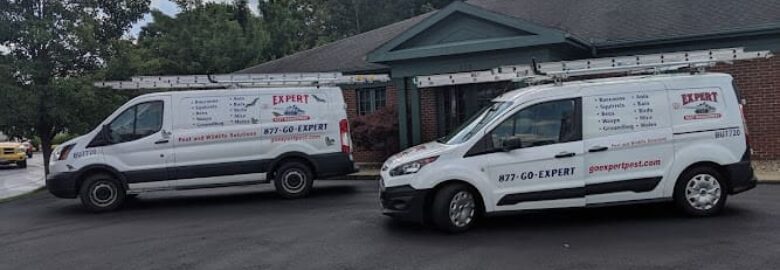 Expert Pest Management