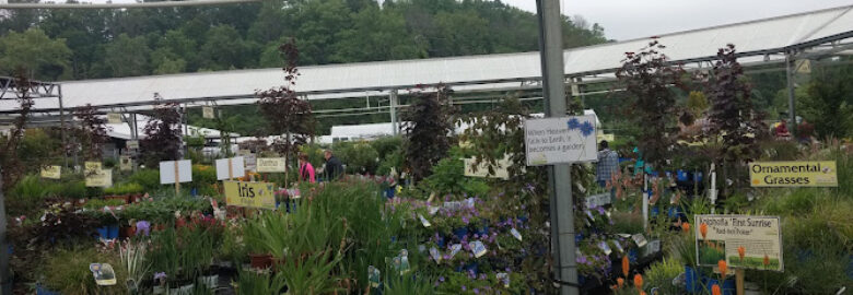 Wilson’s Garden Center