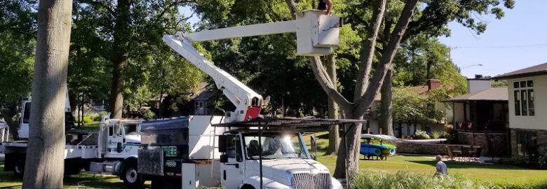 GP Tree Service