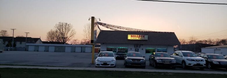 Halleck Auto Sales