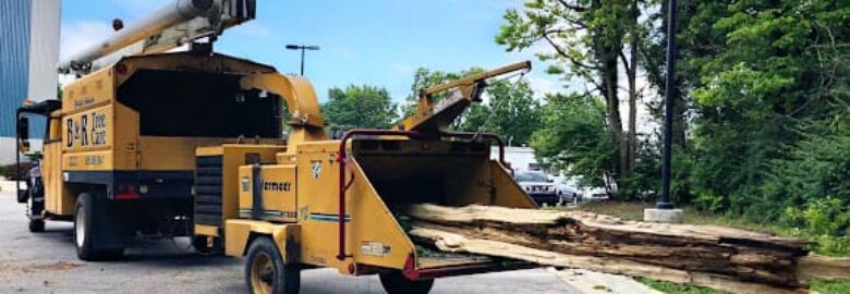 Arborist & Tree Removal, Richmond, KY, US