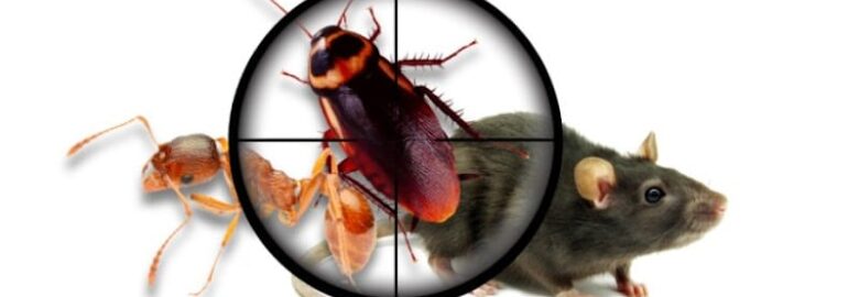 Pest Control, Covington, KY, US