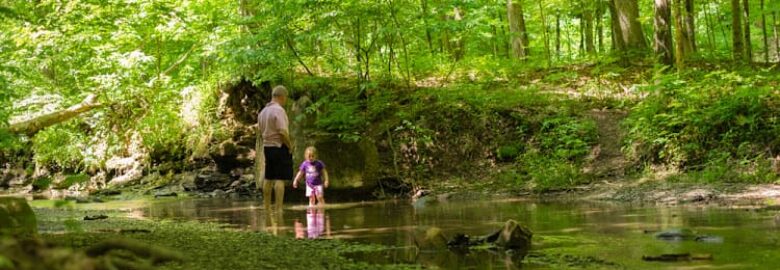 Shale Hollow Park