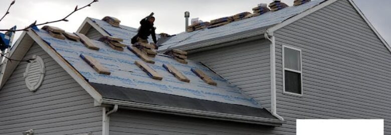 Blue Knight Roofing and Restoration