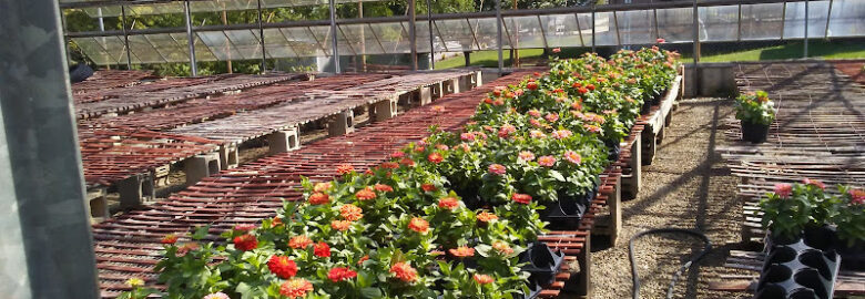 Northgate Greenhouses