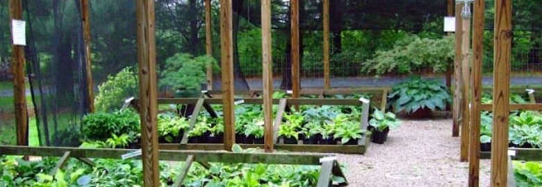 Plants and Nurseries, Georgetown, KY, US