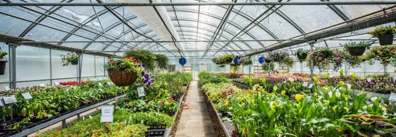 Plants and Nurseries, Paducah, KY, US