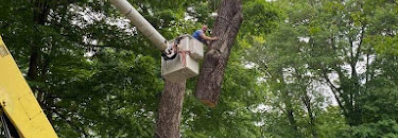 Blue Collar Tree Care