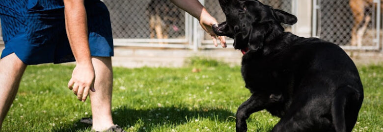 Central Kennels